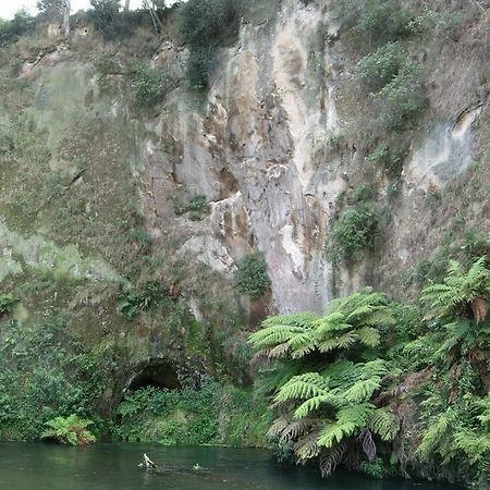 A1 Troutfishing At Tirau Villa Exterior foto