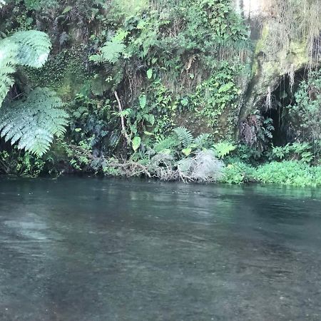 A1 Troutfishing At Tirau Villa Exterior foto