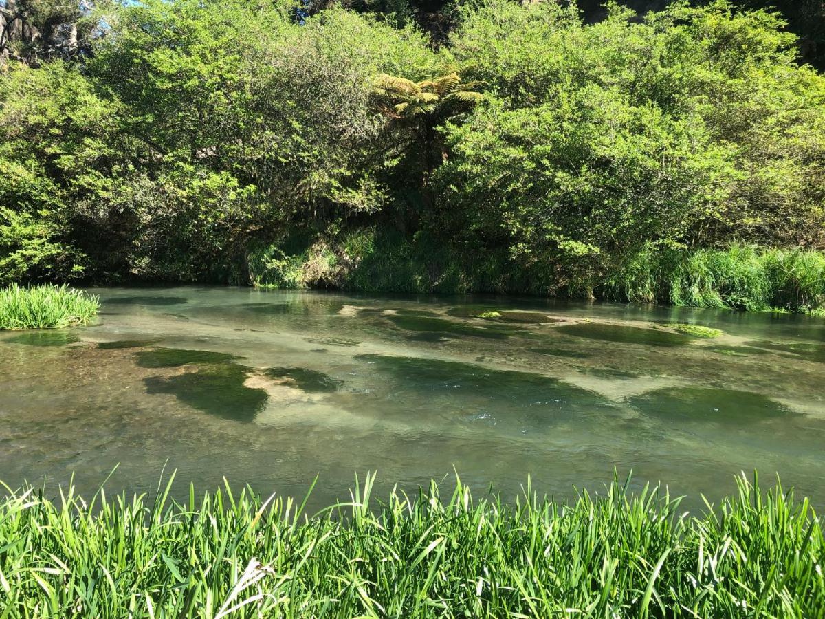 A1 Troutfishing At Tirau Villa Exterior foto